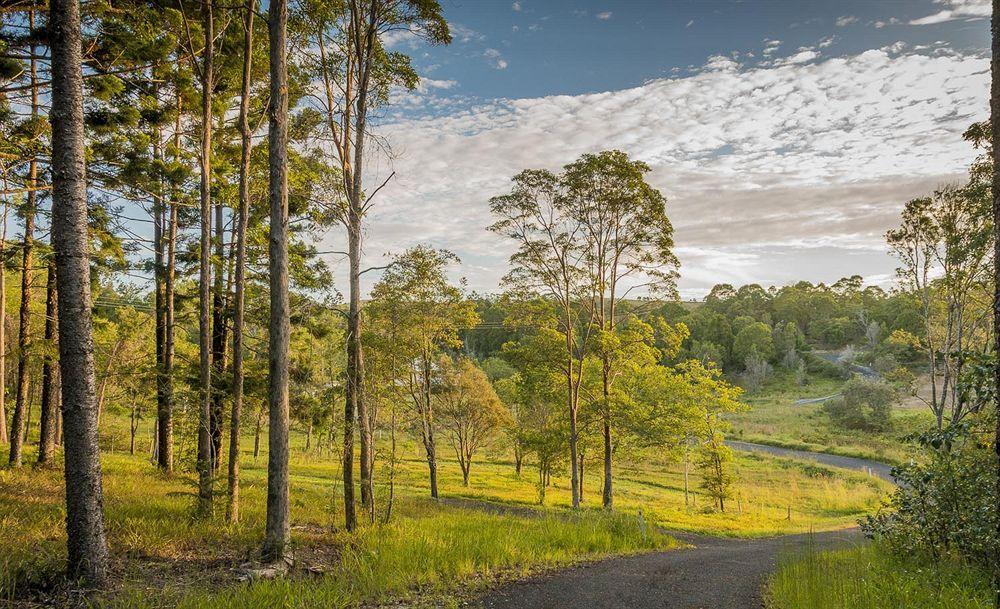 Bed and Breakfast Abelia House Byron Bay Esterno foto