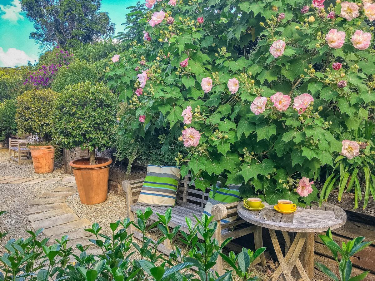 Bed and Breakfast Abelia House Byron Bay Esterno foto