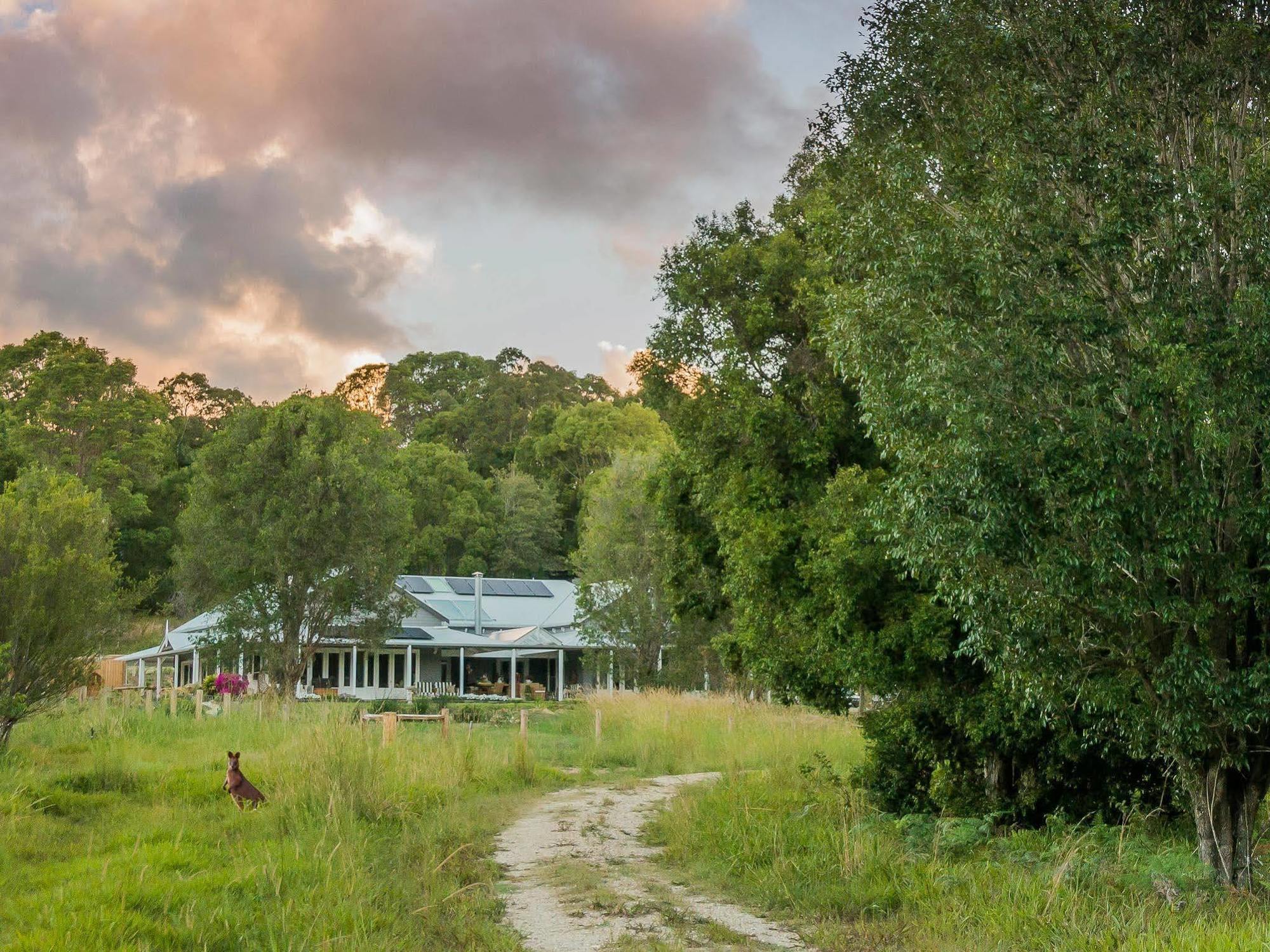 Bed and Breakfast Abelia House Byron Bay Esterno foto