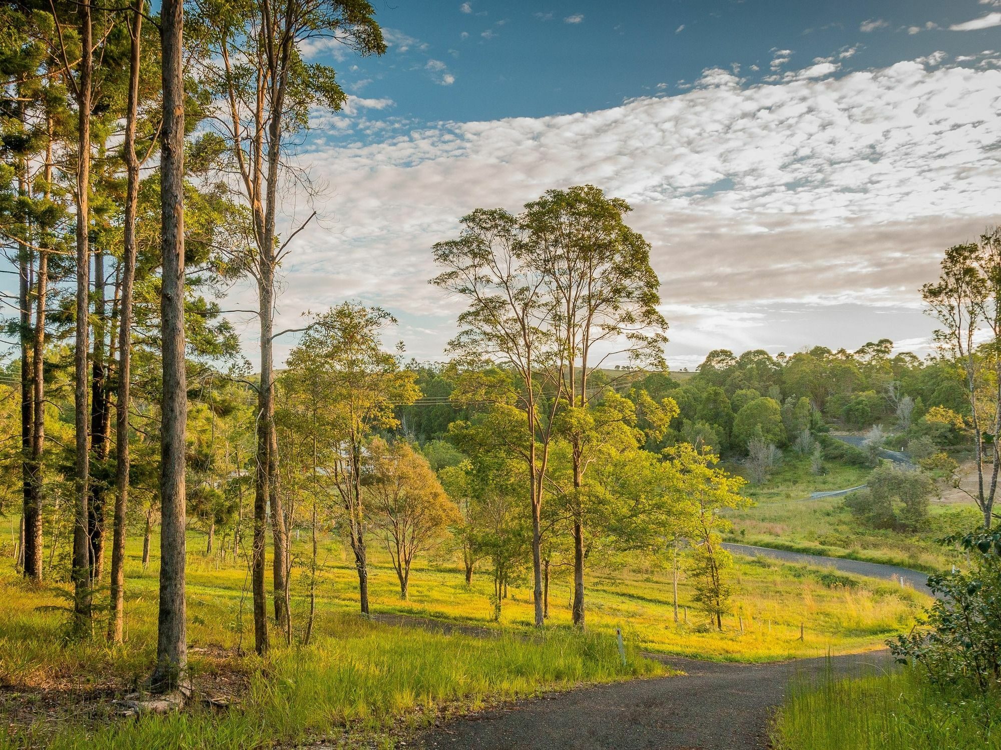 Bed and Breakfast Abelia House Byron Bay Esterno foto