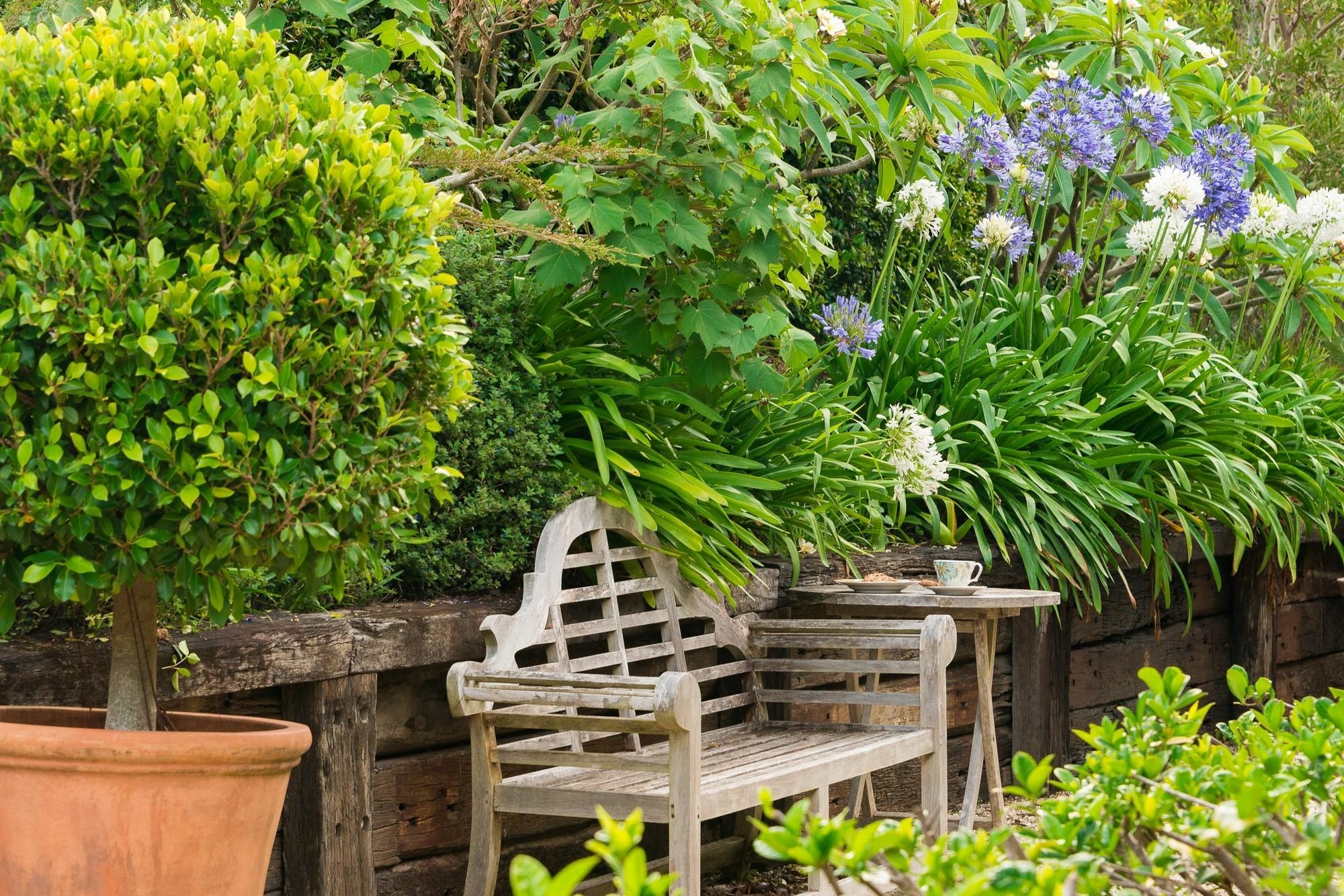 Bed and Breakfast Abelia House Byron Bay Esterno foto